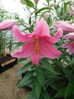 [4228 Mansfield No202.JPG]